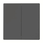 BJ FoH-Bedienelement 2fach   6736 FoH-81 