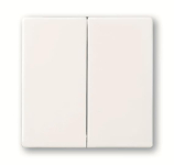 BJ FoH-Bedienelement 2fach   6736 FoH-84 