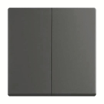 BJ FoH-Bedienelement 2fach  6736 FoH-885 