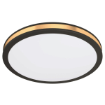 EGLO Wand und Deckenleuchte        99406 