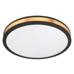EGLO Wand und Deckenleuchte        99407 