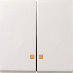 GIRA 063103 Wippe 2fach Kontrollfenster 