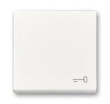 BJ Wippe Schlüssel            2520 TR-84 