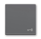 BJ Wippe m.Aufdruck anth      2520 TR-81 