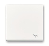 BJ Wippe Licht                2520 LI-84 