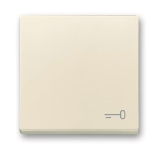 BJ Wippe m.Aufdruck           2520 TR-82 