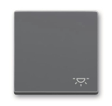 BJ Wippe m.Aufdruck anth      2520 LI-81 