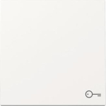 GIRA 328703 Wippe Symbol Tür System 55 