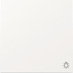 GIRA 328570 Wippe Symbol Licht F200 