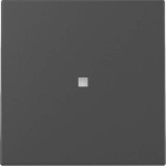 GIRA 3290005 Wippe Kontrollfenster 