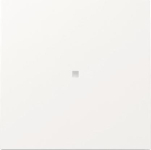 GIRA 329070 Wippe Kontrollfenster F200 