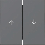 GIRA 329428 Wippe 2fach Pfeil System 55 
