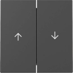 GIRA 3294005 Wippe 2fach Pfeil System 55 
