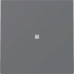 GIRA 329028 Wippe Kontrollfenster 