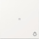 GIRA 367403 Wippe Kontrollfenster+Symbol 