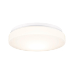Paulmann WallCeiling HomeSpa Axin  78898 
