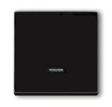 BJ solo Dimmer-Tastfläche    6543-81-101 