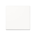 JG Wippe Wechsel                  A590WW 