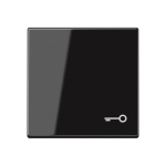 JG Wippe mit Symbol "Tür"     A 590 T SW 