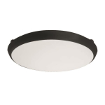 Brumberg                        10029183 