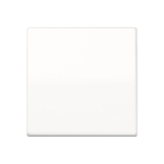 JG Tast-Dimmer-Abd           AS1561.07WW 