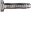 ELCOM Schraube Spezial ZY M5x25  REH125Y 