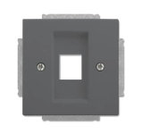 BJ Zentralscheibe anth future    2561-81 