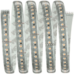 Paulmann Function MaxLED1000 Basis 70672 