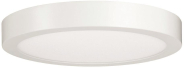 Paulmann WallCeiling Lunar LED     70643 