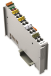WAGO 750-479 2-Kanal-Analogeingang,DC 