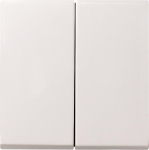 GIRA 029527 Wippe 2fach System 55 