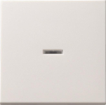 GIRA 091403 Wippe Tast-Kontroll 