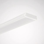 TRILUX Wanne 4401 G2 C6 LED      8192600 