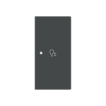 BJ Wippe 2-fach rechts       6234-22-45M 