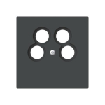 BJ Zentralscheibe         1743/10-04-45M 