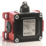 Bernstein Grenztaster         6041103223 
