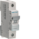 Hager Leitungsschutzschalter      MCN106 