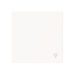 BJ Wippe 1-fach m.Symbol     6231-10-44M 