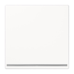 Jung                      LS1539-OOWWLNW 