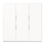 Jung Wippe f.3fach Schalter    LS993BFWW 