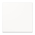 Jung Steuertaste Std.           LS1700WW 