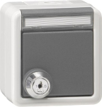 GIRA 456930 SCHUKO-Steckdose Klappdeckel 