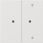 GIRA 5175112 Taster Wippe 2fach unbedr./ 