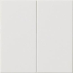 GIRA 537003 Wippe 2fach unbedruckt 