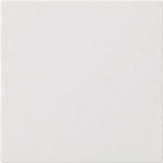 GIRA 537203 Wippe 1fach unbedruckt 