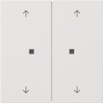 GIRA 5174112 Taster Wippe 2fach Pfeile 