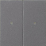 GIRA 536928 Wippe 2fach unbedruckt KF 