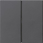 GIRA 5370005 Wippe 2fach unbedruckt 