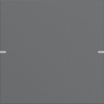 GIRA 5021928 Wippenset 1fach Tastsensor4 