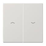 JG Wippe f. Taster Ba 2-F.      LS995PLG 